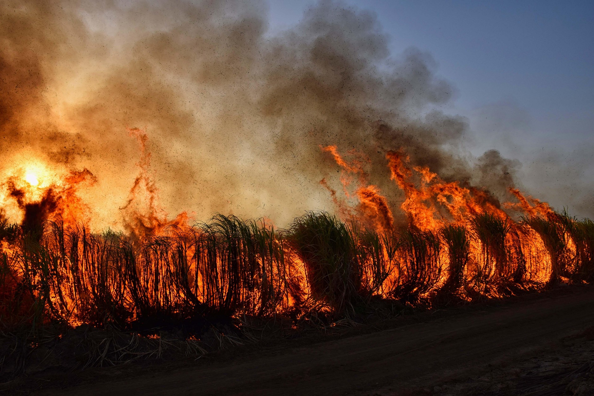 Wildfires in LA: the Reality of Climate Change